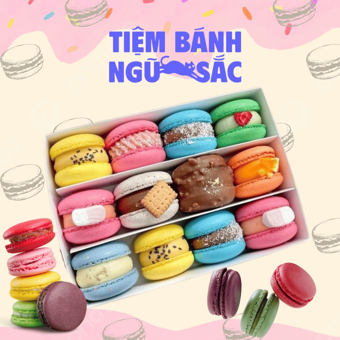 hop-banh-macaron-gia